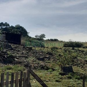 Terreno com 100m², no bairro Criúva em Caxias do Sul para Comprar