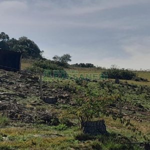 Terreno com 100m², no bairro Criúva em Caxias do Sul para Comprar