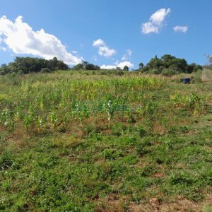 Terreno com 100m², no bairro Criúva em Caxias do Sul para Comprar