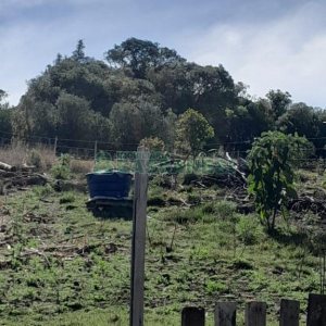 Terreno com 100m², no bairro Criúva em Caxias do Sul para Comprar