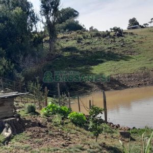 Terreno com 100m², no bairro Criúva em Caxias do Sul para Comprar