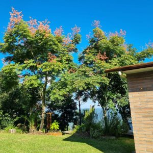 Chácara com 600m², 5 dormitórios, 2 vagas, no bairro Galópolis em Caxias do Sul para Comprar