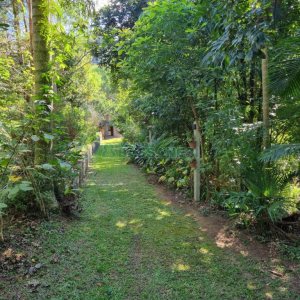 Chácara com 600m², 5 dormitórios, 2 vagas, no bairro Galópolis em Caxias do Sul para Comprar