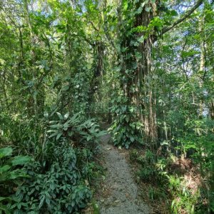 Chácara com 600m², 5 dormitórios, 2 vagas, no bairro Galópolis em Caxias do Sul para Comprar