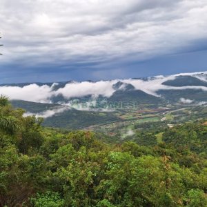 Chácara com 600m², 5 dormitórios, 2 vagas, no bairro Galópolis em Caxias do Sul para Comprar