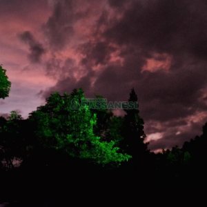 Chácara com 600m², 5 dormitórios, 2 vagas, no bairro Galópolis em Caxias do Sul para Comprar