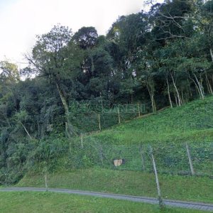Terreno com 43000m², no bairro Nossa Senhora das Graças em Caxias do Sul para Comprar