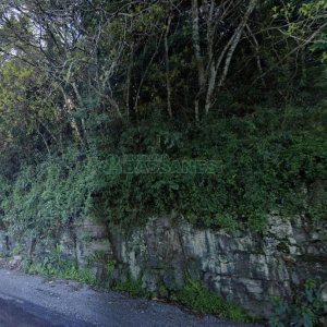 Terreno com 43000m², no bairro Nossa Senhora das Graças em Caxias do Sul para Comprar