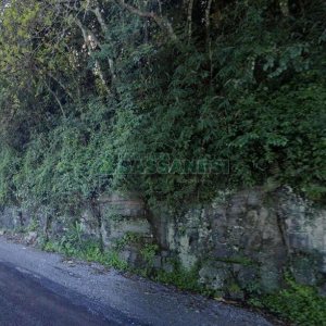 Terreno com 43000m², no bairro Nossa Senhora das Graças em Caxias do Sul para Comprar