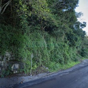 Terreno com 43000m², no bairro Nossa Senhora das Graças em Caxias do Sul para Comprar