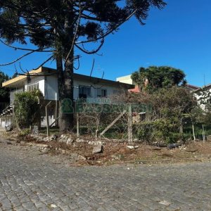Terreno com 1560m², no bairro Rio Branco em Caxias do Sul para Comprar
