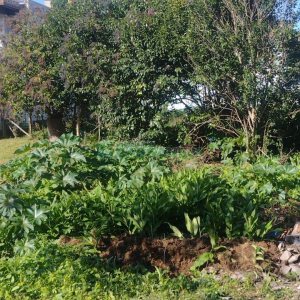 Terreno com 898m², no bairro Bela Vista em Caxias do Sul para Comprar