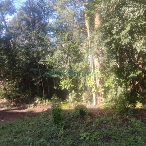 Terreno com 898m², no bairro Bela Vista em Caxias do Sul para Comprar