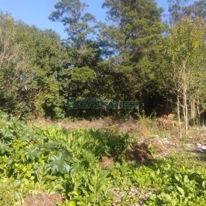 Terreno com 898m², no bairro Bela Vista em Caxias do Sul para Comprar