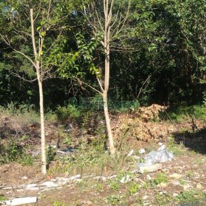 Terreno com 898m², no bairro Bela Vista em Caxias do Sul para Comprar