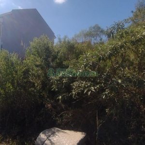 Terreno com 360m², no bairro São Luiz em Caxias do Sul para Comprar