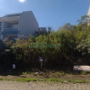 Terreno com 360m², no bairro São Luiz em Caxias do Sul para Comprar