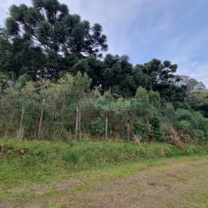 Terreno com 20413m², no bairro Pedancino em Caxias do Sul para Comprar