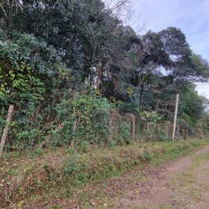Terreno com 20413m², no bairro Pedancino em Caxias do Sul para Comprar
