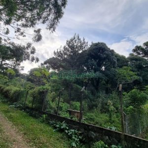 Terreno com 20413m², no bairro Pedancino em Caxias do Sul para Comprar