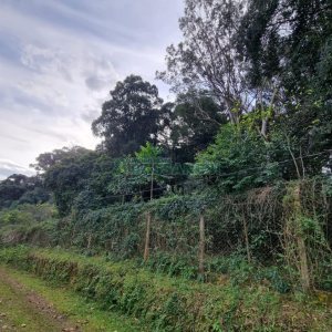 Terreno com 20413m², no bairro Pedancino em Caxias do Sul para Comprar