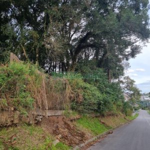Terreno com 20413m², no bairro Pedancino em Caxias do Sul para Comprar