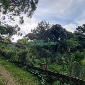 Terreno com 20413m², no bairro Pedancino em Caxias do Sul para Comprar