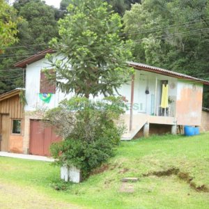 Chácara com 21896m², 2 dormitórios, no bairro Pedancino em Caxias do Sul para Comprar