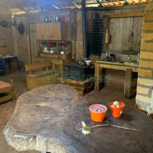 Chácara com 21896m², 2 dormitórios, no bairro Pedancino em Caxias do Sul para Comprar