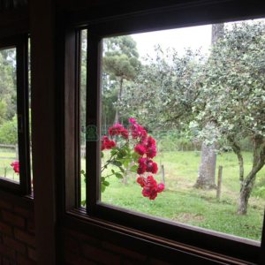 Chácara com 21896m², 2 dormitórios, no bairro Pedancino em Caxias do Sul para Comprar