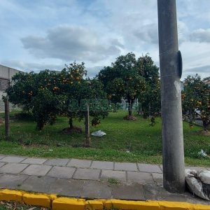 Terreno com 660m², no bairro Desvio Rizzo em Caxias do Sul para Comprar