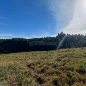 Terreno, no bairro Fazenda Souza em Caxias do Sul para Comprar