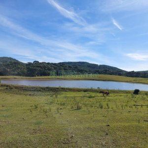 Terreno, no bairro Fazenda Souza em Caxias do Sul para Comprar