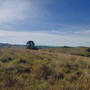 Terreno, no bairro Fazenda Souza em Caxias do Sul para Comprar