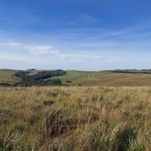 Terreno, no bairro Fazenda Souza em Caxias do Sul para Comprar