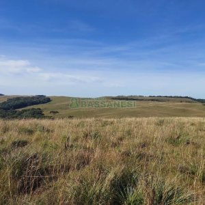 Terreno, no bairro Fazenda Souza em Caxias do Sul para Comprar