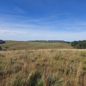 Terreno, no bairro Fazenda Souza em Caxias do Sul para Comprar