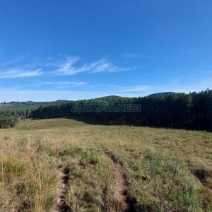 Terreno, no bairro Fazenda Souza em Caxias do Sul para Comprar