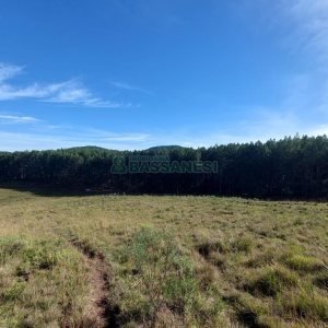 Terreno, no bairro Fazenda Souza em Caxias do Sul para Comprar