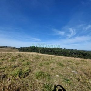 Terreno, no bairro Fazenda Souza em Caxias do Sul para Comprar