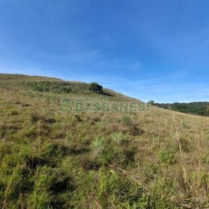 Terreno, no bairro Fazenda Souza em Caxias do Sul para Comprar