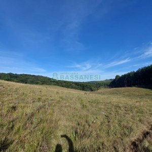 Terreno, no bairro Fazenda Souza em Caxias do Sul para Comprar