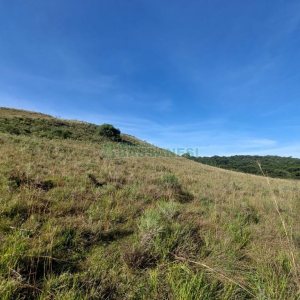 Terreno, no bairro Fazenda Souza em Caxias do Sul para Comprar