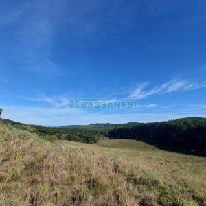 Terreno, no bairro Fazenda Souza em Caxias do Sul para Comprar