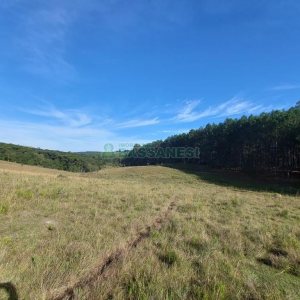 Terreno, no bairro Fazenda Souza em Caxias do Sul para Comprar