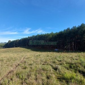 Terreno, no bairro Fazenda Souza em Caxias do Sul para Comprar