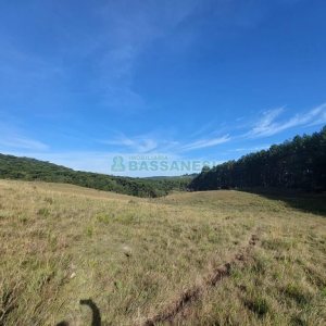 Terreno, no bairro Fazenda Souza em Caxias do Sul para Comprar