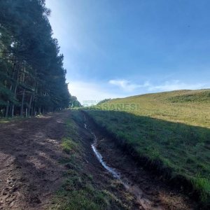 Terreno, no bairro Fazenda Souza em Caxias do Sul para Comprar