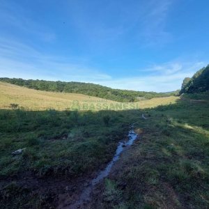 Terreno, no bairro Fazenda Souza em Caxias do Sul para Comprar