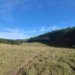 Terreno, no bairro Fazenda Souza em Caxias do Sul para Comprar